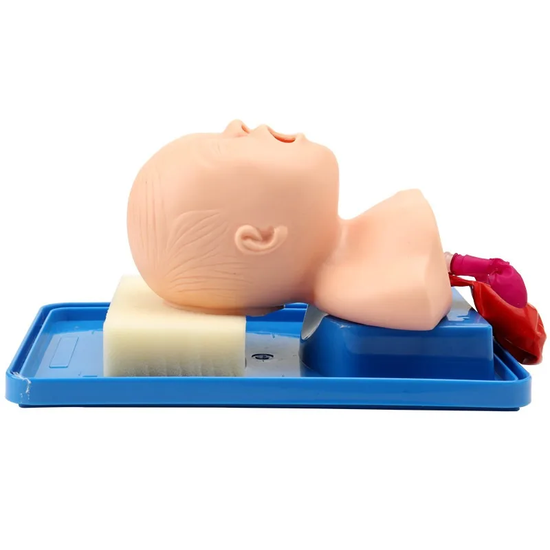 Oral, nasal and endotracheal intubation simulation teaching aids