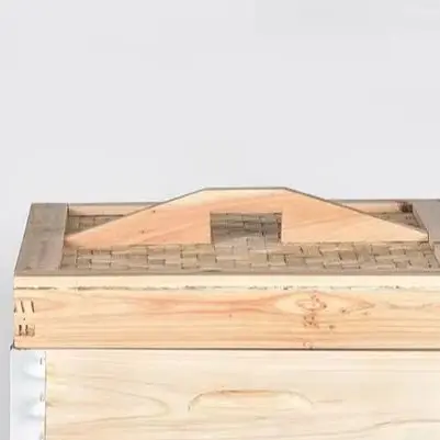 Mairuismultifunctio… - image