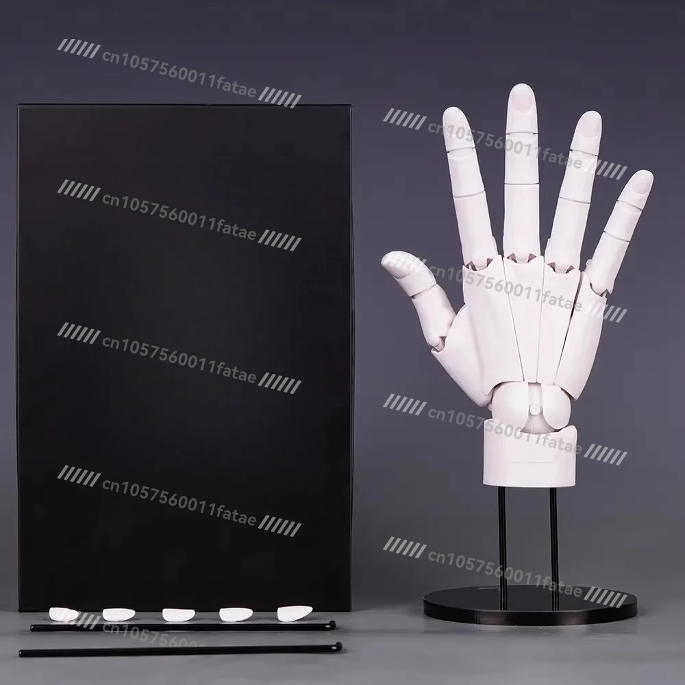 

Movable finger joint 1/1 white hand model sketch, standard right hand double support bracket