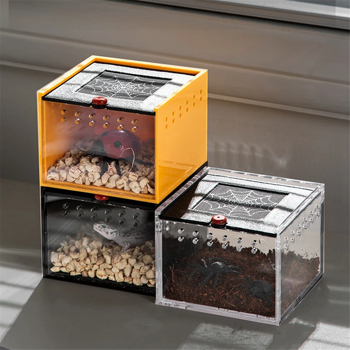 Spider Enclosure Small Insect Breeding Box Prevent Escape Reptile Terrarium Insect Feeding Cage A