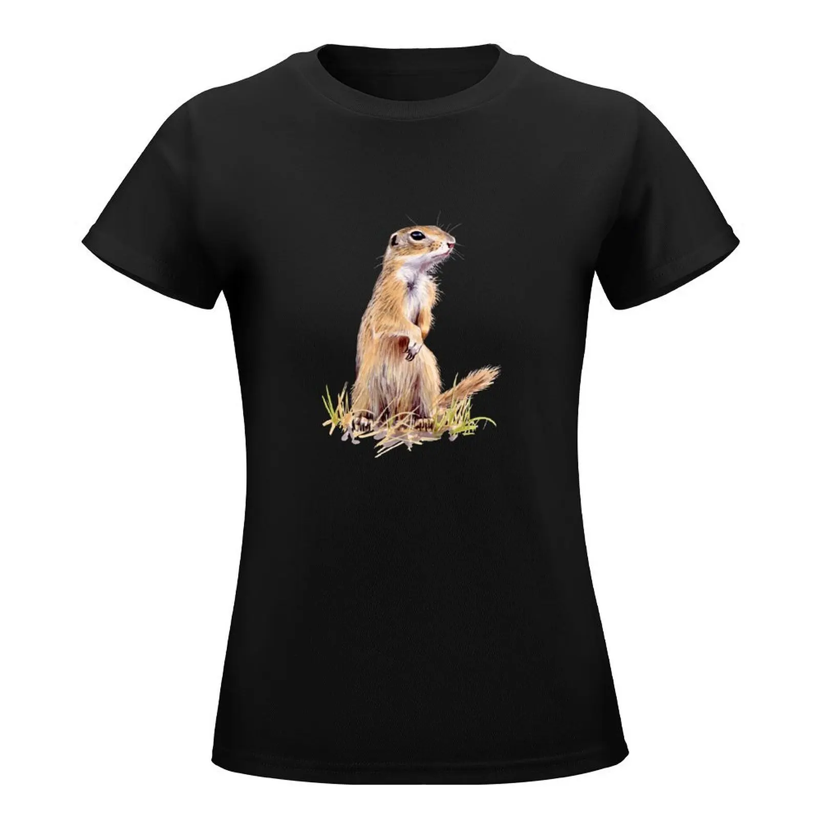 European ground squirrel T-Shirt tees kawaii clothes summer clothes for Women