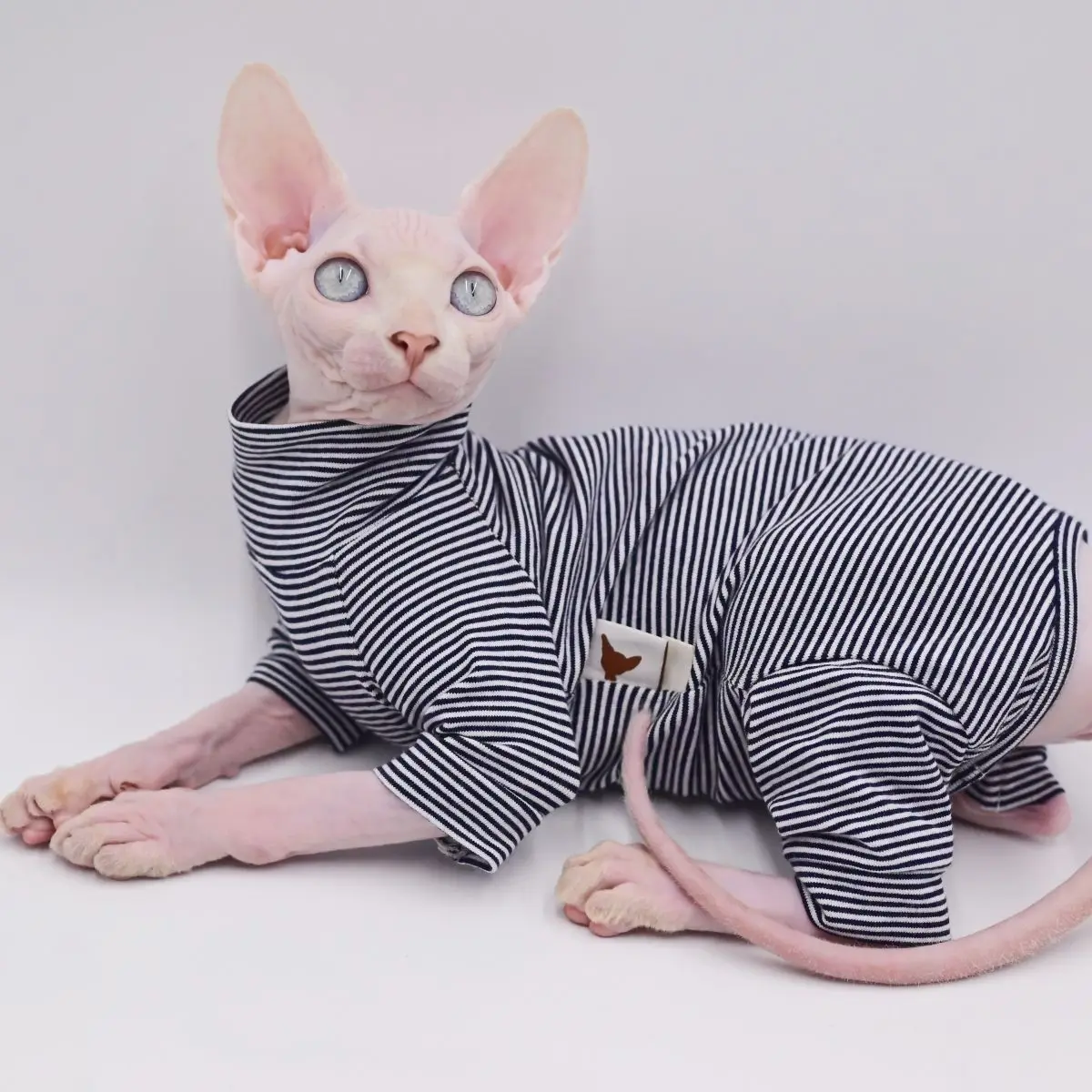 Sphynx 고양이 의류 레저 스트라이프 4 발 코튼 편안한 털 없는 고양이 의상, 부드러운 겨울 따뜻한 데본 코니쉬 고양이 옷