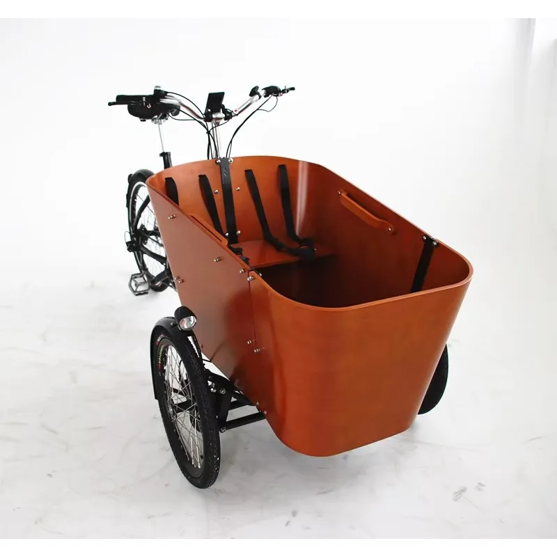 Custom 3 Wheels Electric Cargo Tricycle with Steel Frame Cargo Bike Electric Ladcykel Ebike Fahrrad Triciclo Bicicleta De Carga