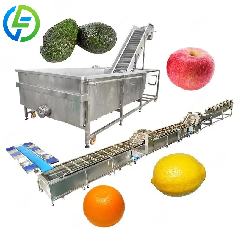 Customized Industrial Avocado Cleaner Fruit Washer Machine for Coffee Cherries Banana Watermelon Cleaning