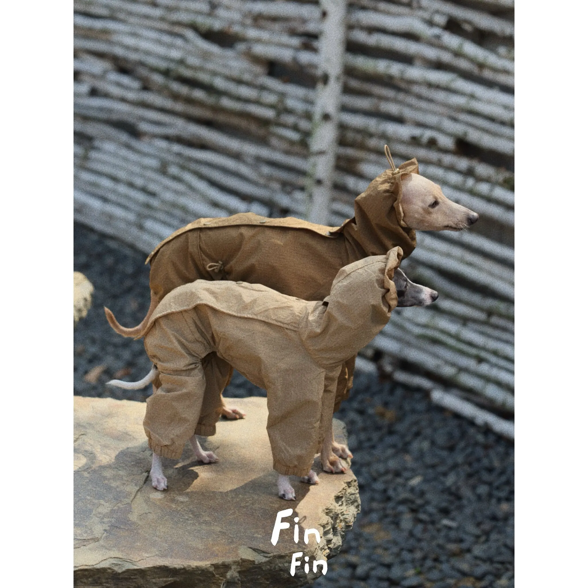 fashion-windproof-outdoor-jacket-for-italy-greyhound-water-repellent-raincoat-soft-coffee-sweatshirt-for-small-mid-whippet-dogs