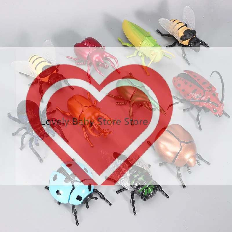 【BS】1Pcs Simulation Wind-Up Beetle  Crawling Pets Miniature Model Kids Toys Realistic Movement Collection Nature Lover's Gift