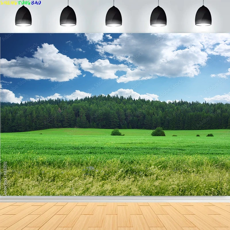 

Green Wheat Field Blue Sky Photography Backdrops Prop Pastoral Scenery Landscape Forest Blooming Rapeseed Photo Background BU-01