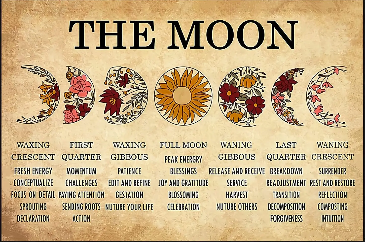 Eeypy Wildflower Horizontal Moon Phase, Moon Lovers, Home Decoration, Tin Sign Metal Wall Art sign