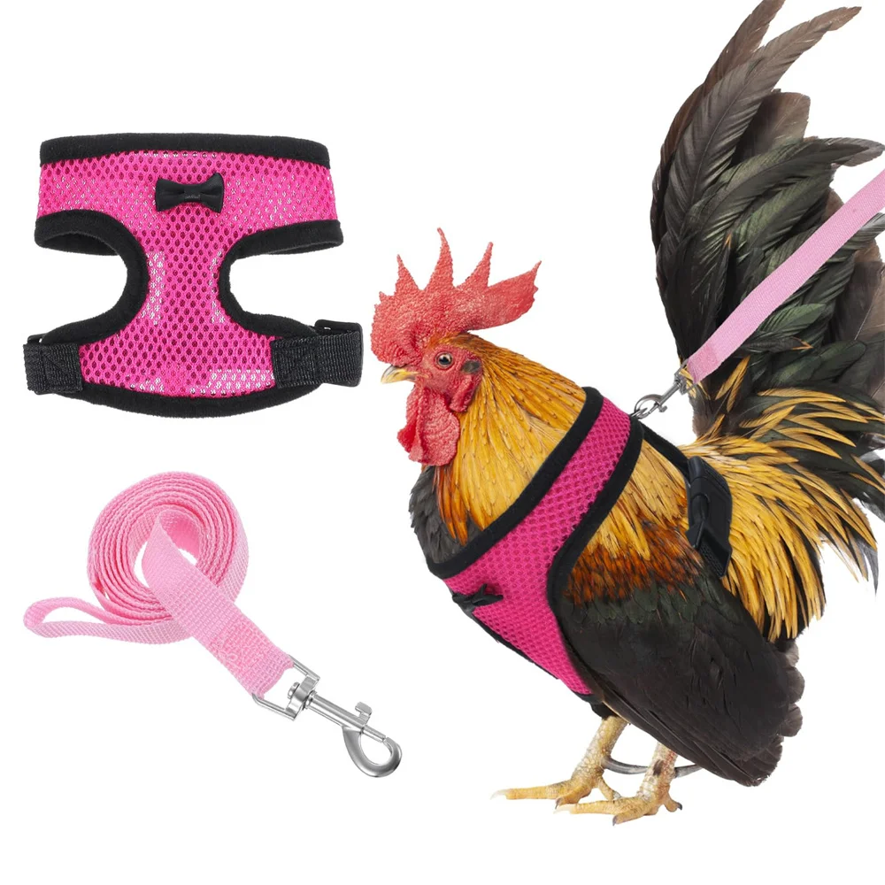 

Chicken Harness and Leash Set Double Adjustable Breathable Mesh Poultry Training for Hens Ducks Geese Small Pets