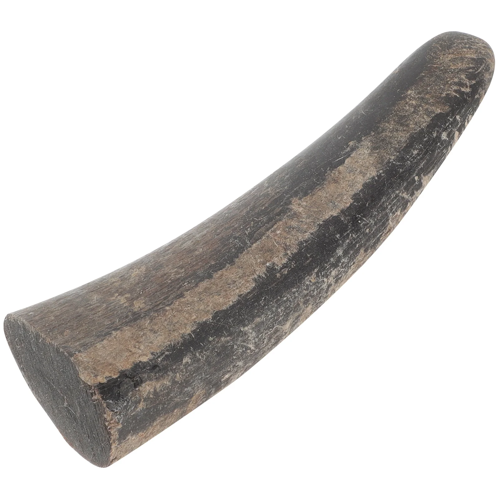 

Delicate Bull Horns Natural DIY Material Carving Accessories for Beads Ornaments Handmade Crafts Bull Horns Natural Horrn