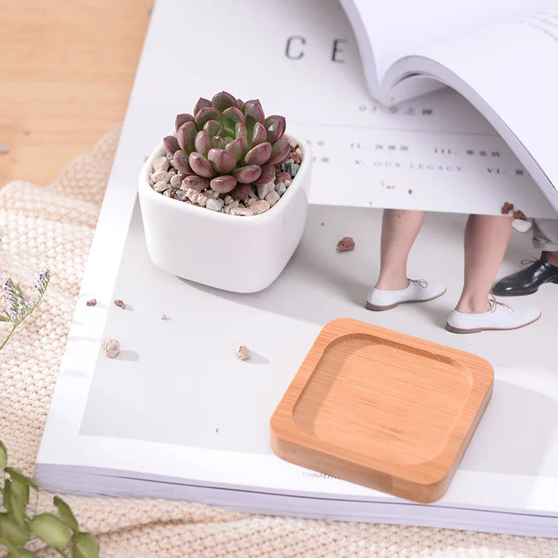 Geometic White Ceramic Square Bonsai Planter Little Succulent Flowerpots Modern Small Cactus Vases Bamboo Tray Office Decor