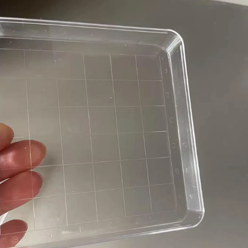 10 sztuk/partia 10*10cm Lab jednorazowe sterylne plastikowe kwadratowe płytki petriego z płytkami kultury linii siatki bakteryjne drożdże