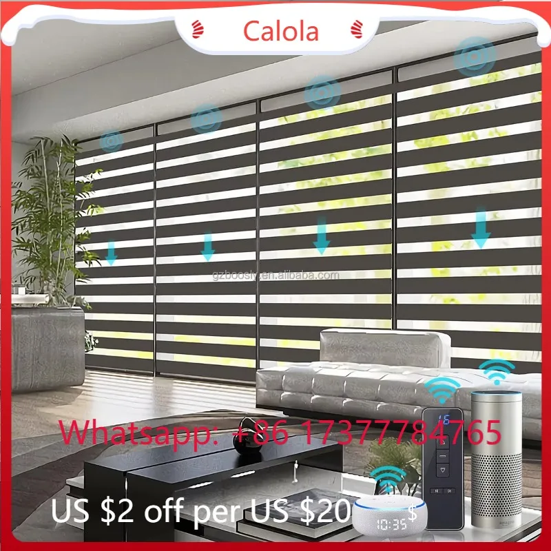 Customized Electric Double Layer Zebra Blinds Window Shades