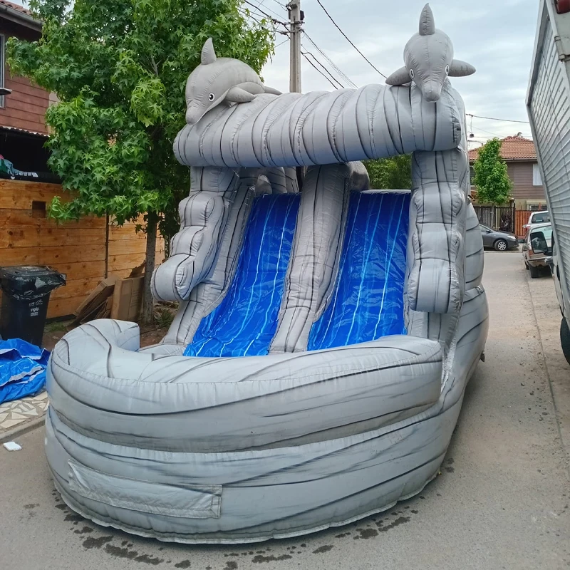 

Hot Sale Inflatable Dolphin Pool Slide Including Blower Inflatable Slide With Swimming Pool Good Quality And Low Price