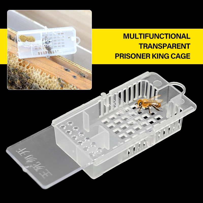 10 szt. Klatek dla pszczół transparentne klatka na królową pszczelarskie pszczelarskie pszczelarskie pszczelarze
