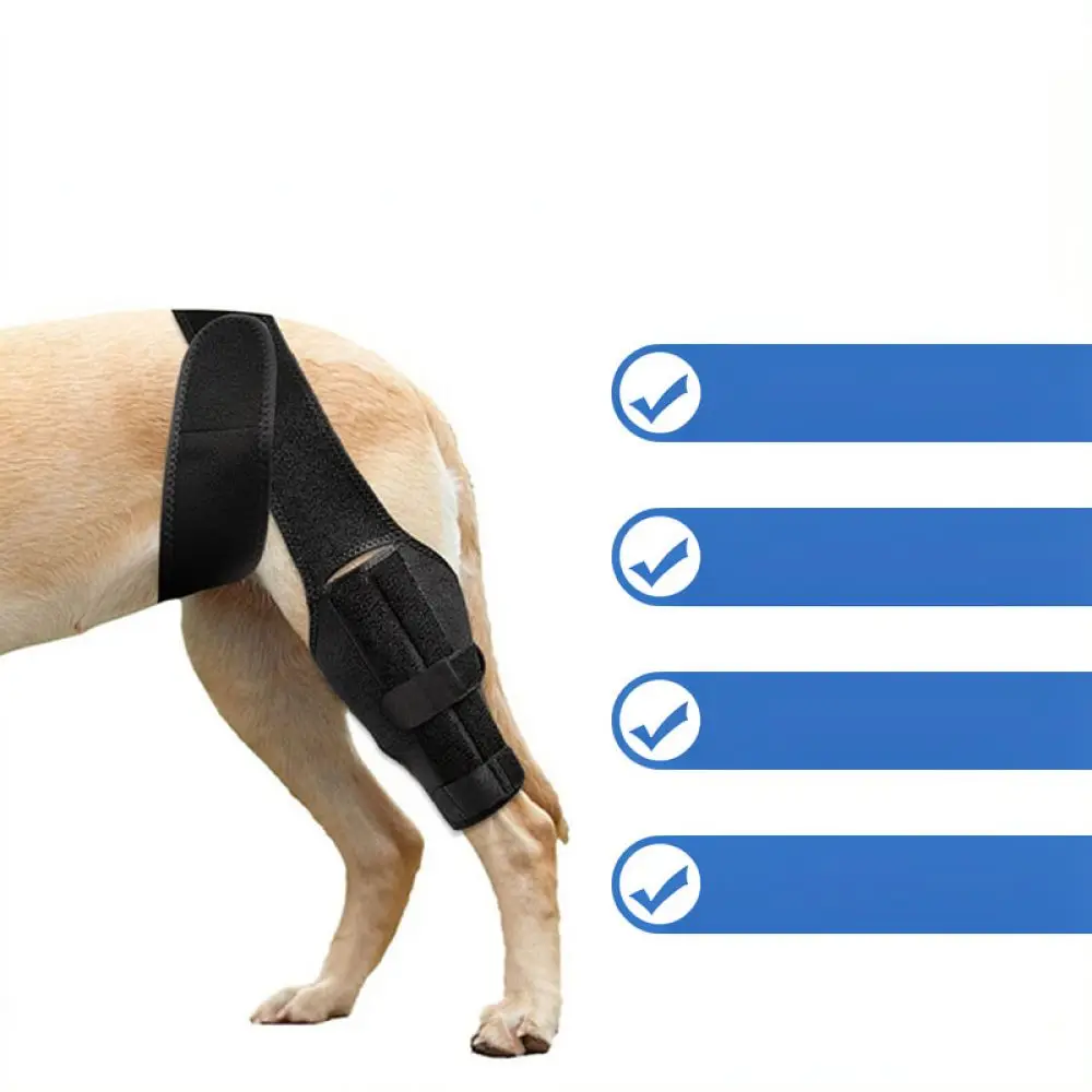 Pet Joint Support Protector Dog Leg Compression Wrap Adjustable Stabilizer Recovery Brace For Arthritis Injury Healing