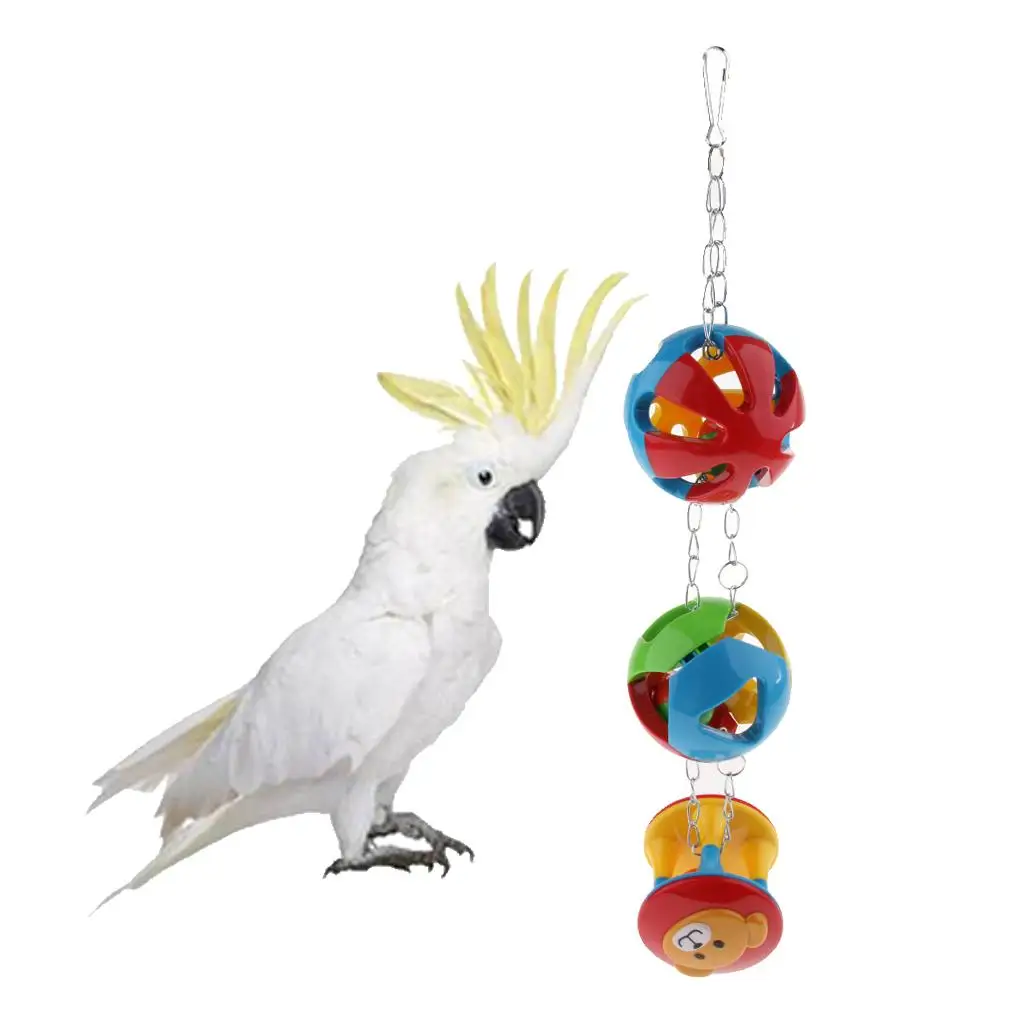 Balançoire pour oiseaux de compagnie, jouets pour perroquet, perruche, calopsitte, pinsons