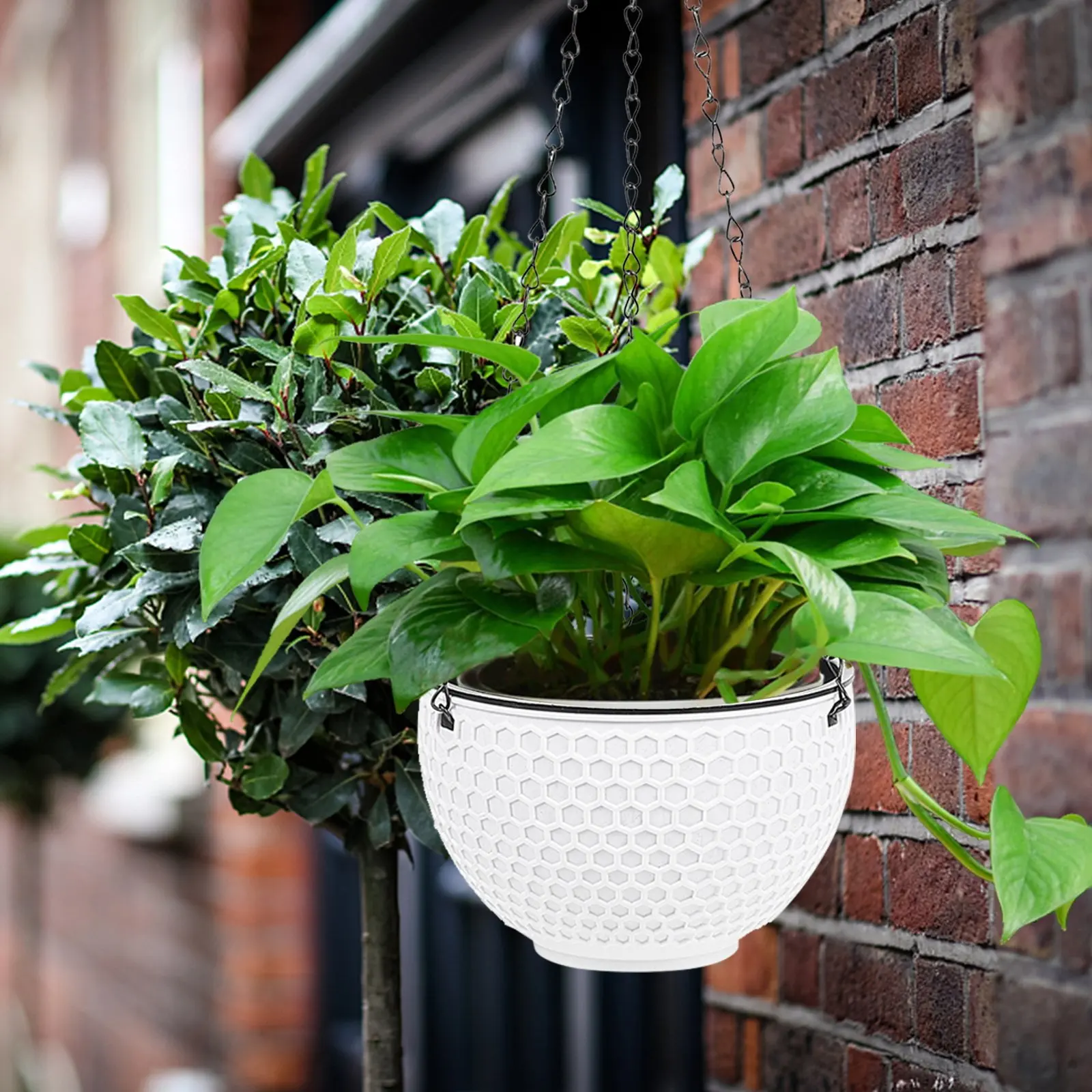 

1Pcs Plastic Hanging Flower Pot Honeycomb Rattan Design Hanging Planter for Chlorophytum Living Room Bedroom Terrace Garden