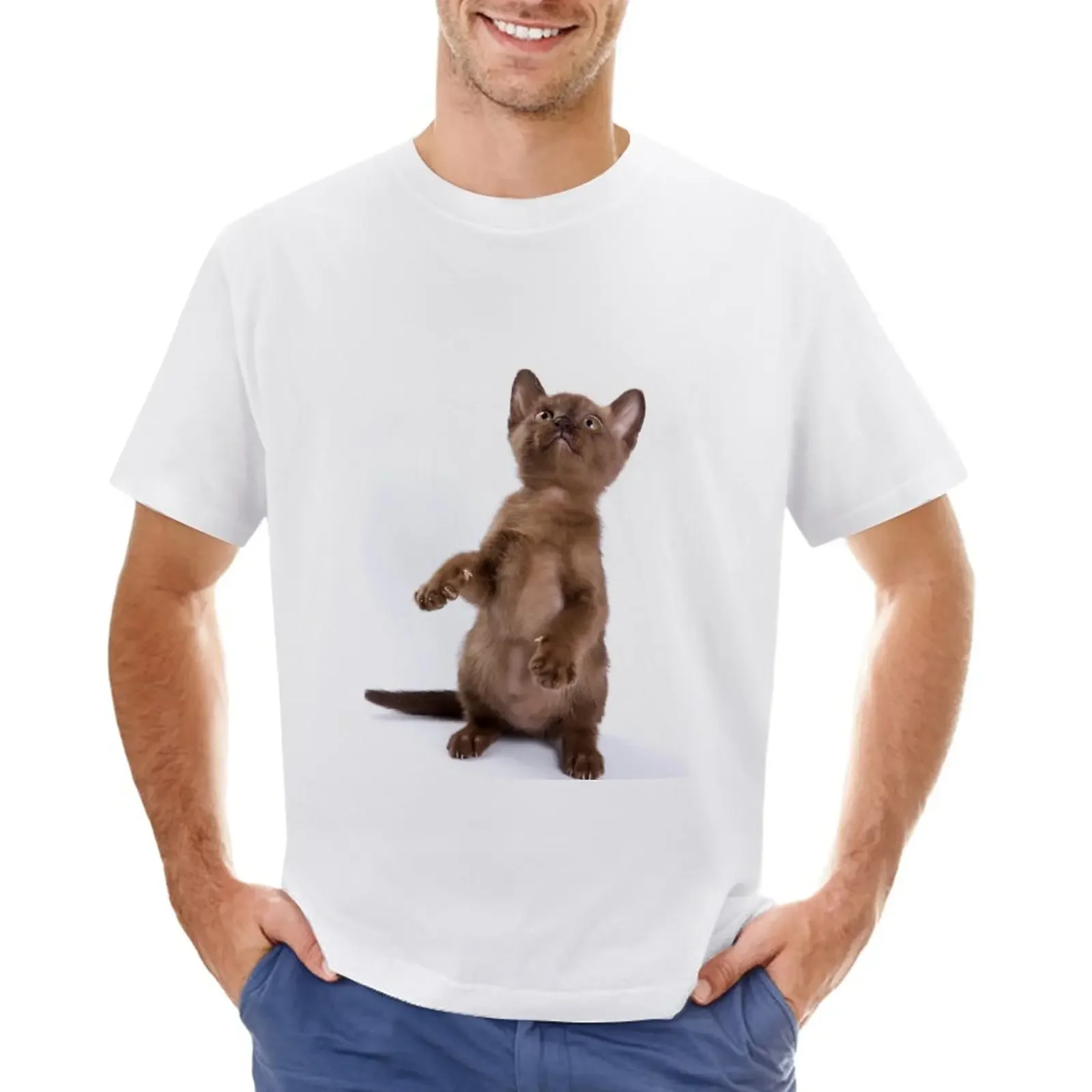 Brown Burmese kitten (isolated on white) T-Shirt aesthetic clothes sweat Short sleeve tee tshirts for men