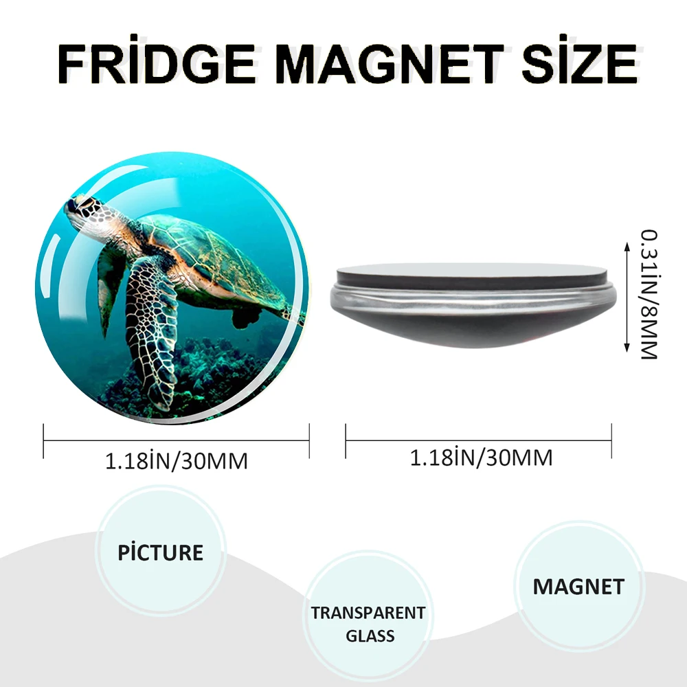 1PC Blue marine creature sticker magnetic sticker, turtle, dolphin,shell glass dome magnetic souvenir, home decoration and gifts