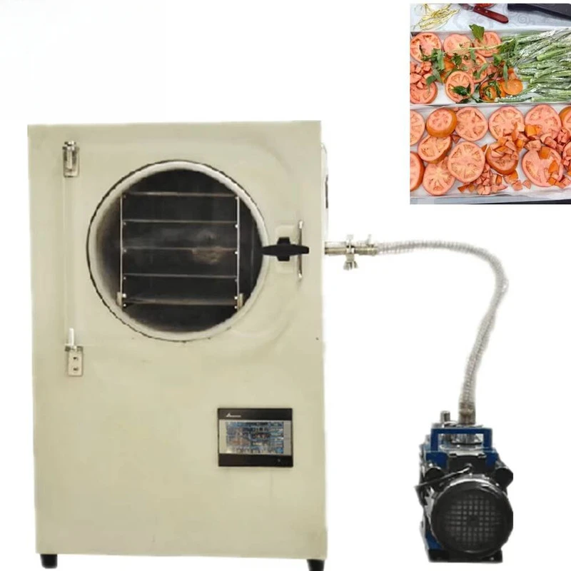 Small Square Storehouse Freeze-drying Freeze Dryer Lyophilizer Machine For Vegetables, Equipped With Essential Pump Gear Engine