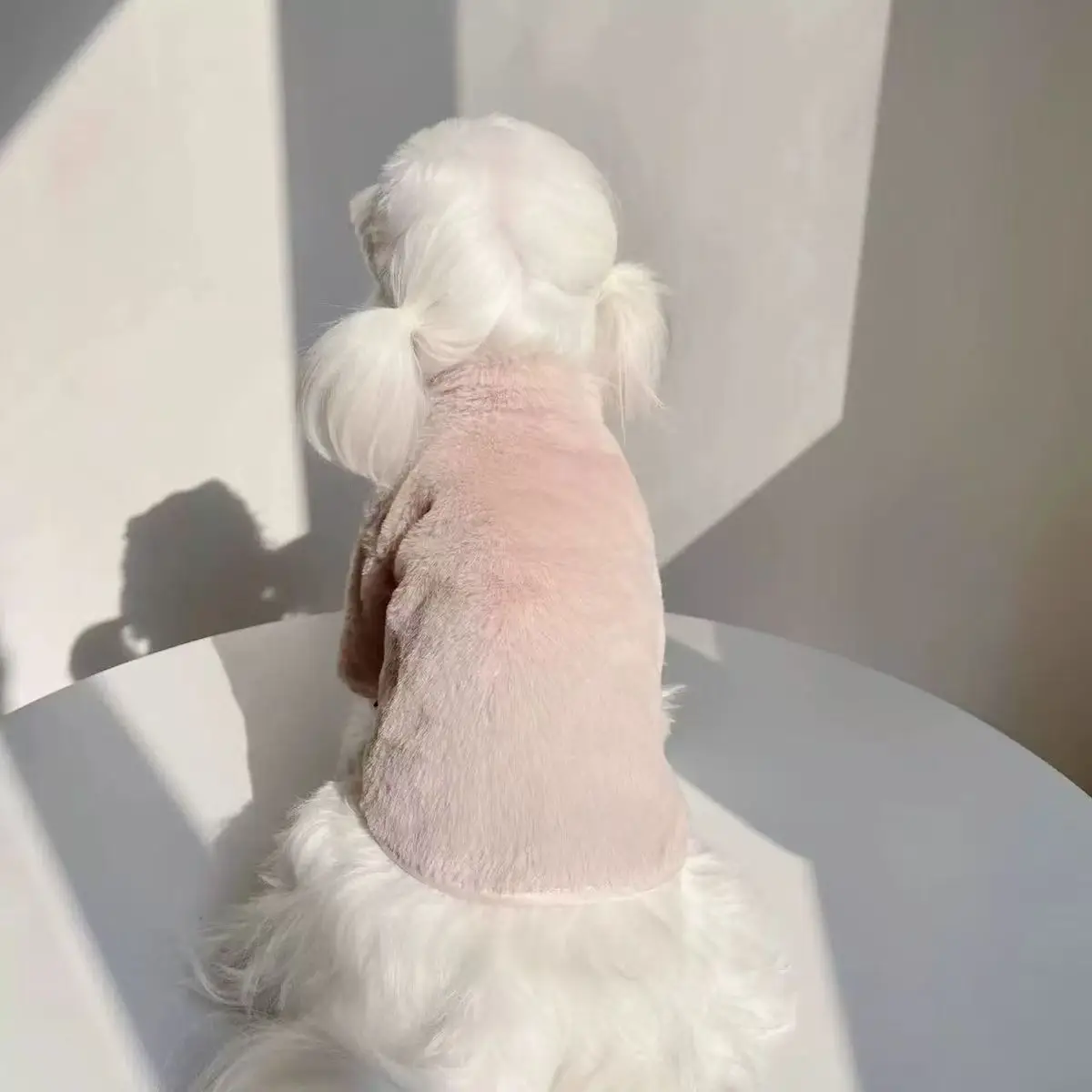 

Зимнее плотное пальто, одежда для собак, теплая куртка на хлопковой подкладке, удобная плюшевая толстовка с капюшоном для щенков собак