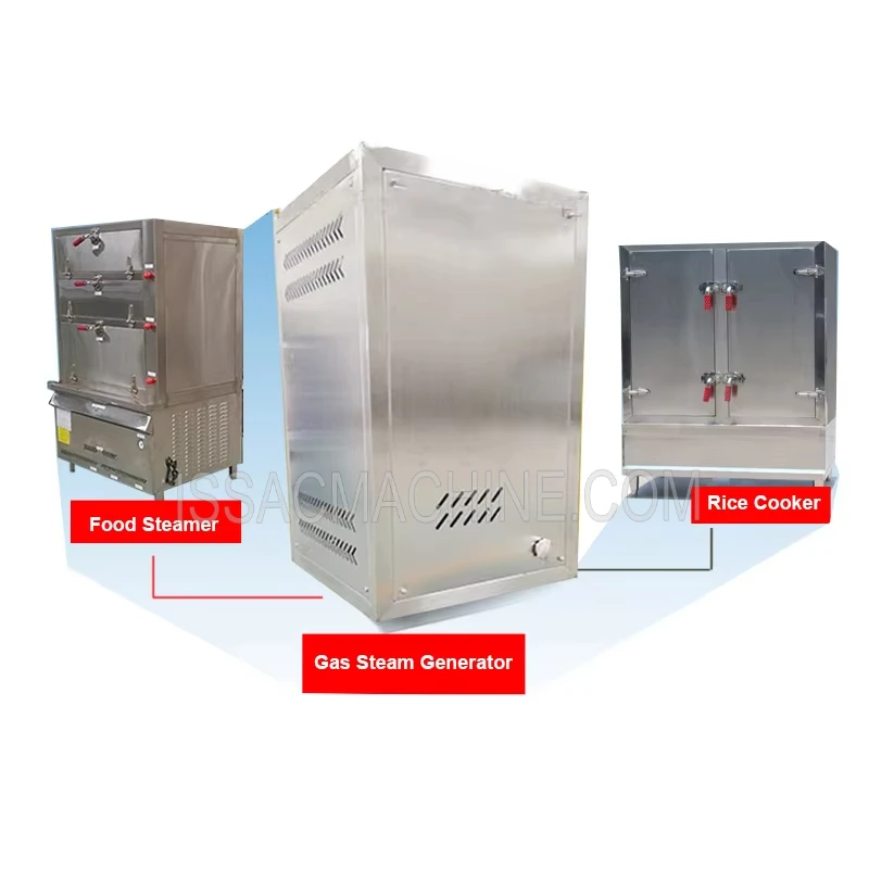 40-120kg/h Automatic LPG Gas Generators Heating Steam Boiler Generator for Shower Machine Space Heating 103degree