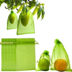 Bolsas de cultivo de frutas y uvas, malla de protección para plantas vegetales, Control de plagas, antiaves, herramientas de jardín, 50 piezas