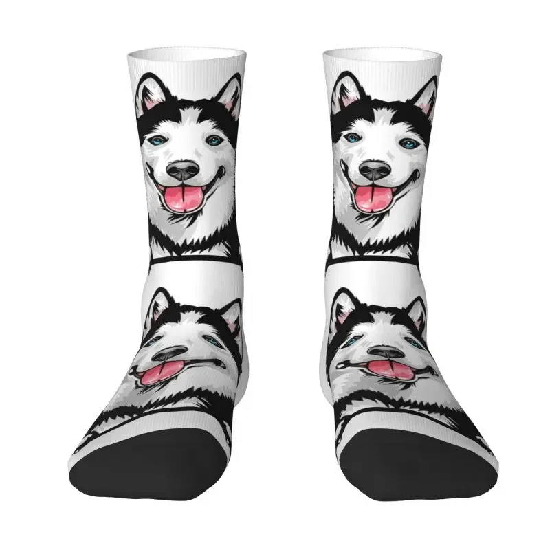 Siberian Husky Mens Crew Socks Unisex Kawaii Alaskan Malamute Dog Spring Summer Autumn Winter Dress Socks