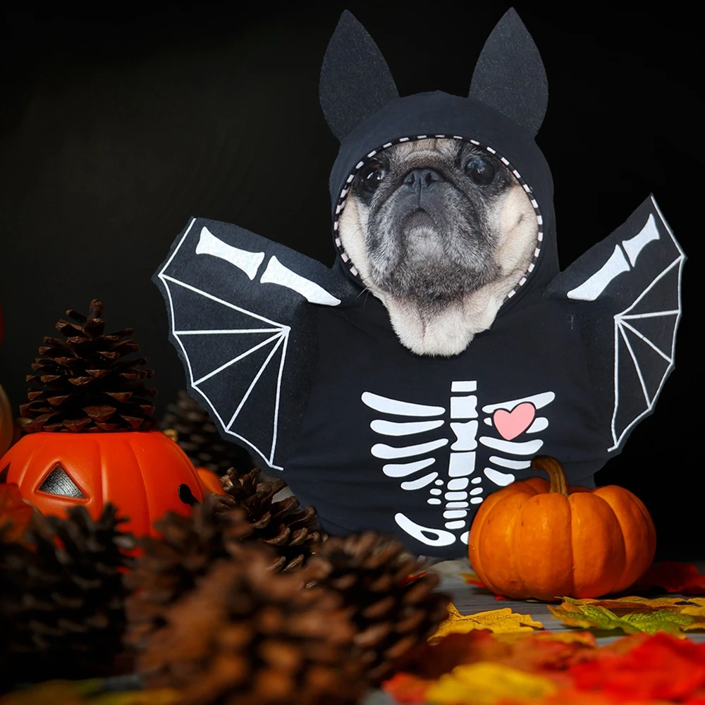 Funny Dog Bat Clothing Halloween Pet Costumes Bat Wings for Small Medium Large Dogs Festival Dressing up