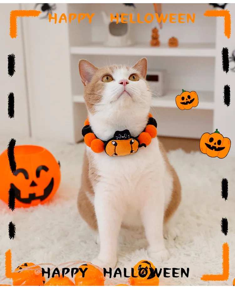 https://ae-pic-a1.aliexpress-media.com/kf/S9eb0284857384a8c83736f64622d1d466.jpg