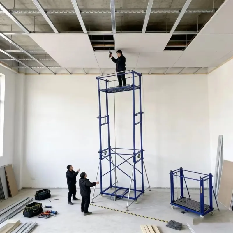 Electric Scaffolding Lift Platform 500kg 2-15M with Wireless Remote Control for Efficient Installation and Painting