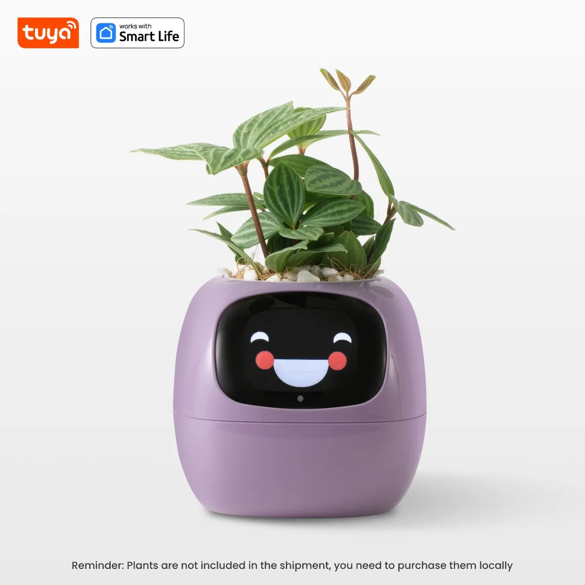 Tuya Gen1 Ivy Smart Planter 6