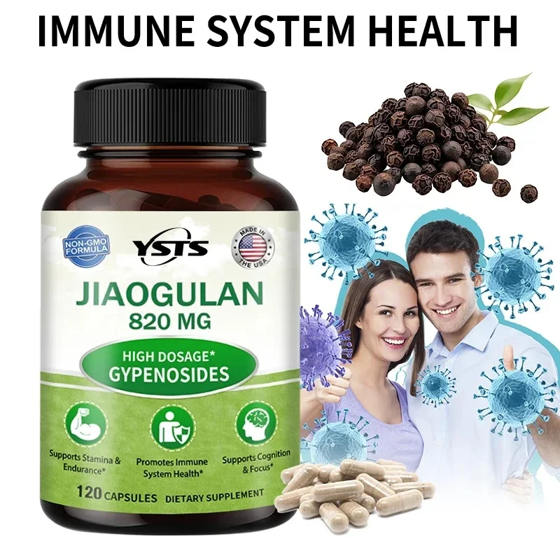 Suplemento de Extracto de Jiaogulan, Alta Concentración, Alivia el Estrés, Regula el Metabolismo, Sin GMO, Sin Gluten, 120 Cápsulas