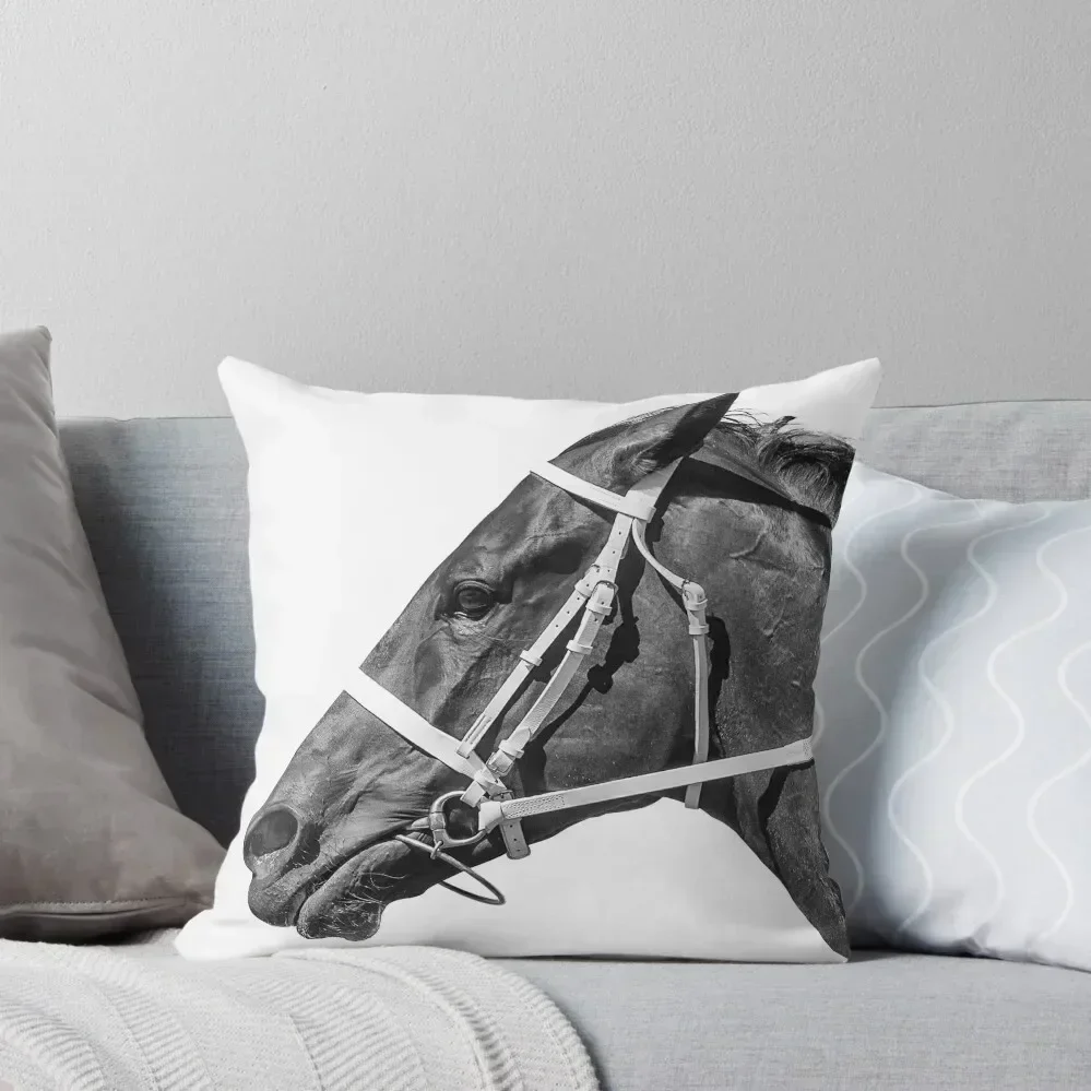 

Winx - In Flight Throw Pillow Marble Cushion Cover Pillows Aesthetic covers for pillows luxury home accessories pillow
