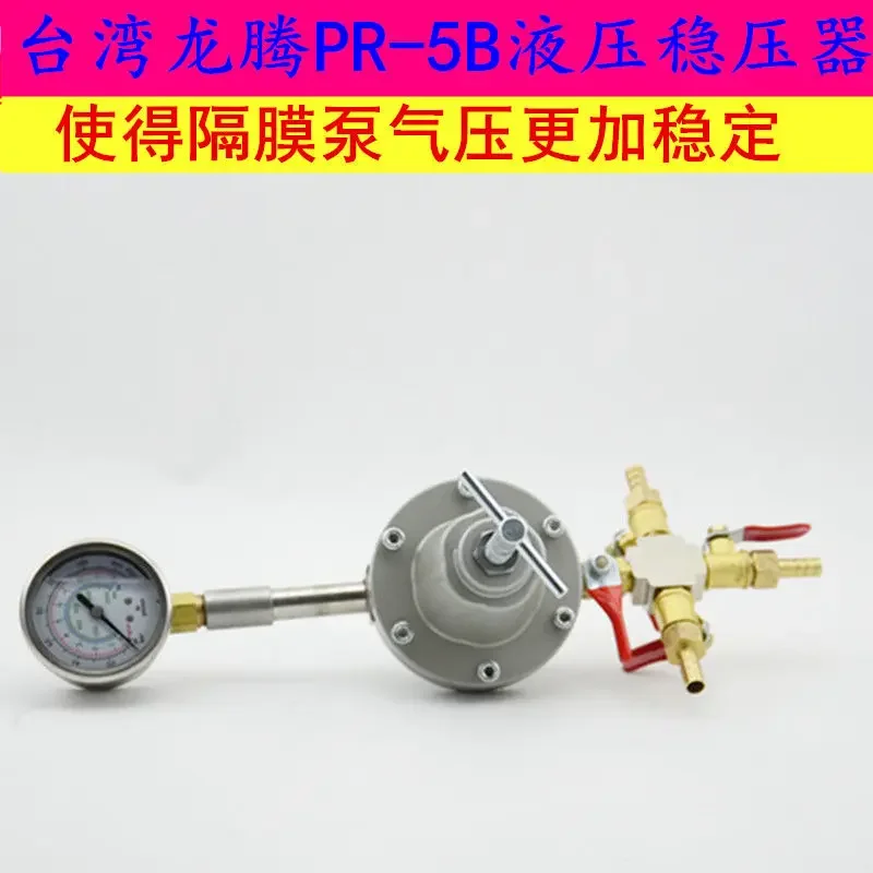 Pneumatic diaphragm pump, paint pump, dual stabilizing spray paint pump, secondary stabilizing oil pump