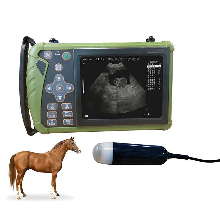 YYHC-Animal pregnancy diagnostic scanner Portable large animal ultrasound machine