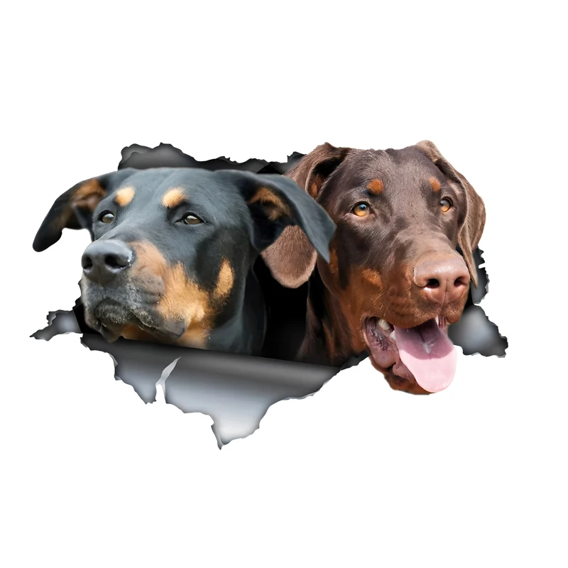 DK479# Two Hound Dogs in the Hole Car Stickers, Waterproof Pvc Animal Decals With 3D Effect, Block Scratches and Increase Fun Au