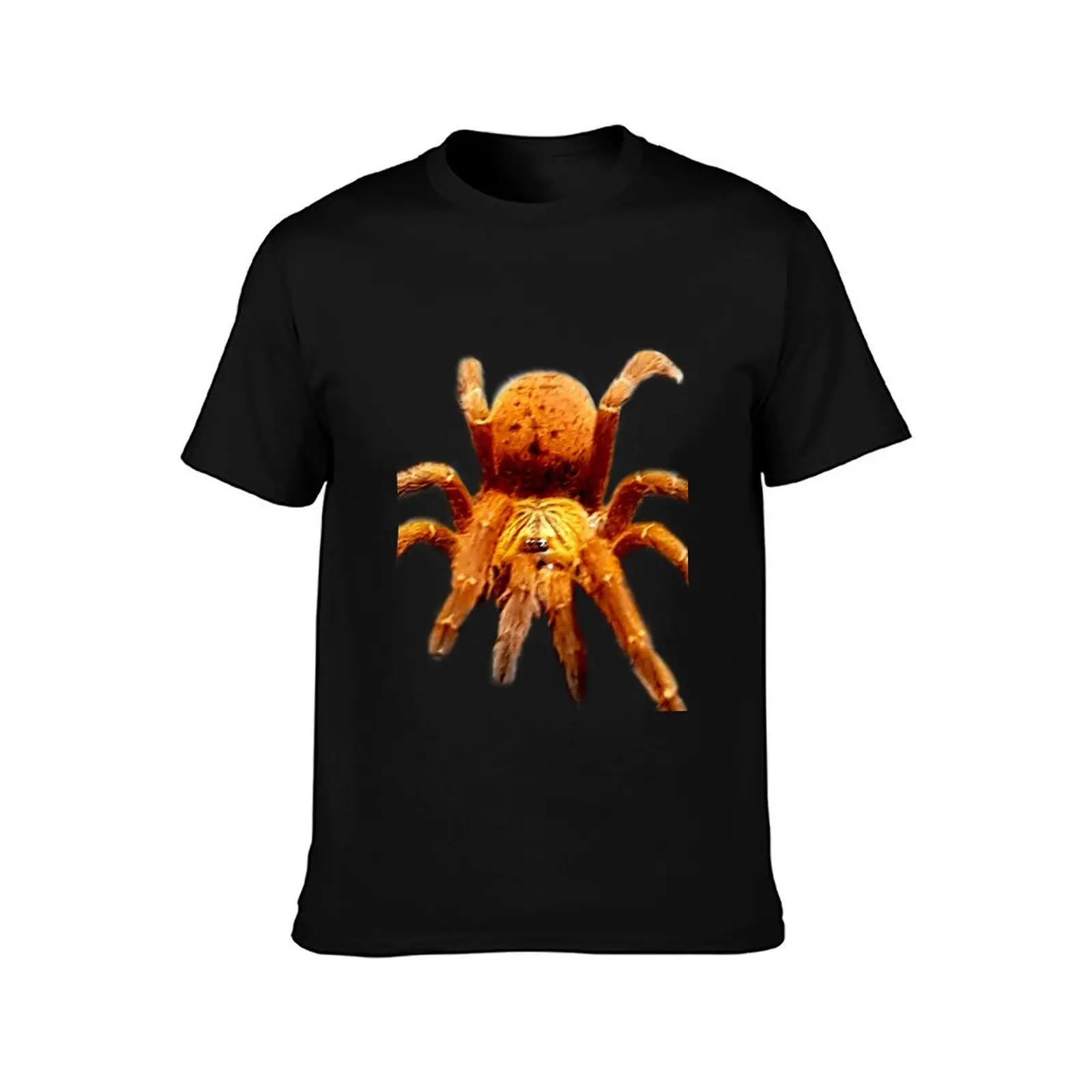 OBT -Pterinochilus murinus; Orange Baboon Tarantula T-Shirt Work Outdoor for Men T-Shirt