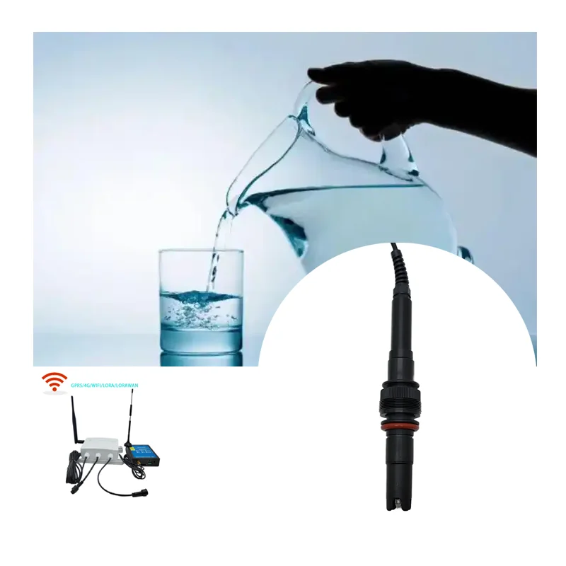

Lora Lorawan Drinking Water Dissolved Ozone Detector Sensor Dissolved Ozone Sensor for Water Monitoring