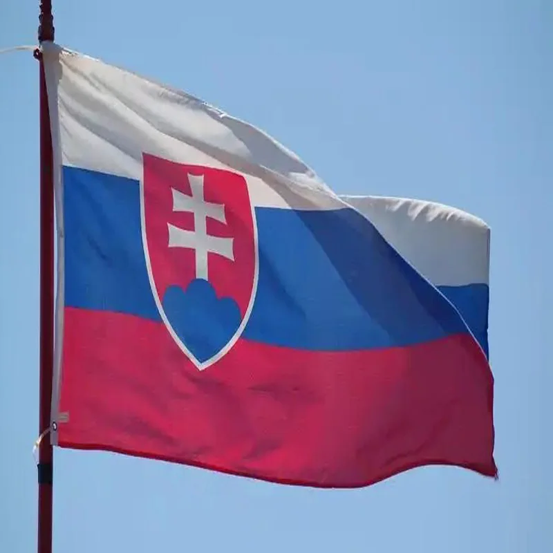 5 Pcs/lot Slovak National Flag 90x150cm Slovak Flag The Slovak Republic National Flag wholesale