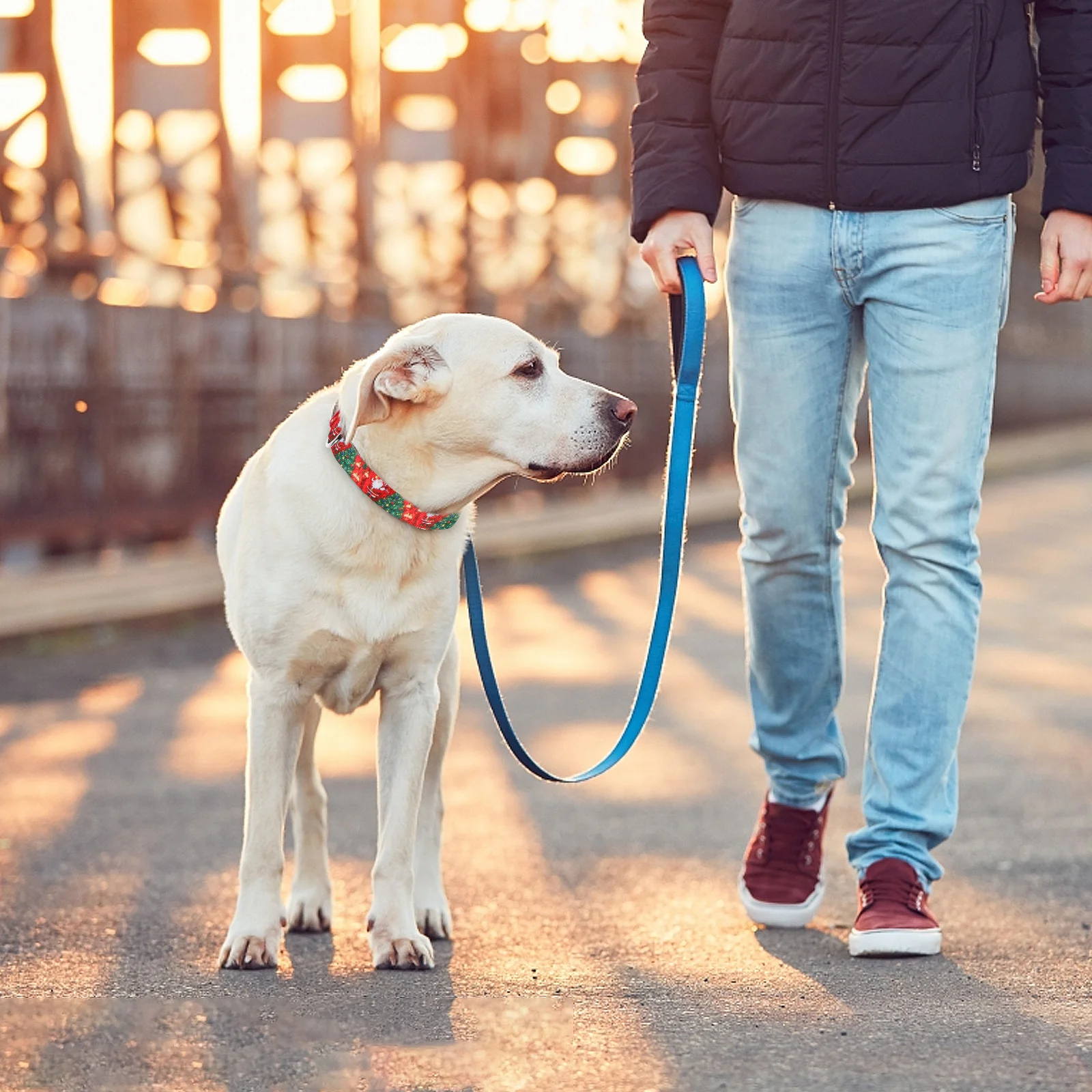 

Pet Dog Collar Christmas Adjustable Decorative Puppy Necklace for Small Dogs Holiday Party Outdoor Quick Release