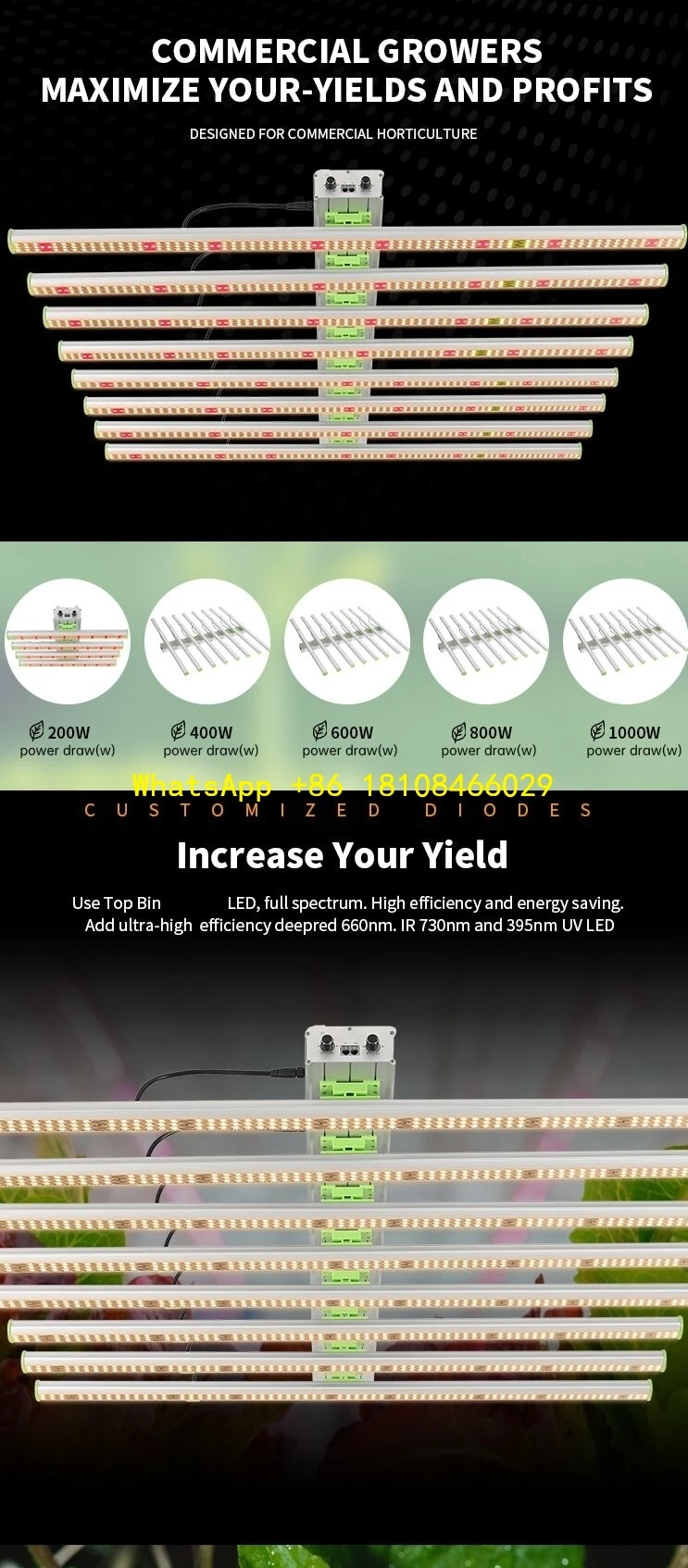 

Full Spectrum Led Horticultural Light Led Grow Lights Pro Hydroponic 800w Uv Ir Dimmable Medical