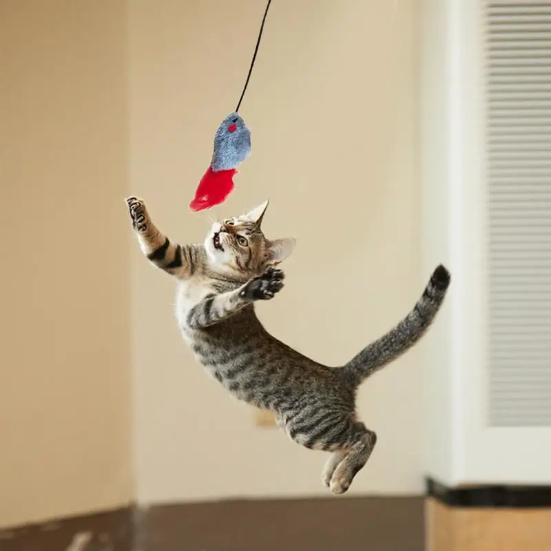 Cat String Toys Interactive Funny Mouse Teaser Cat Toy Hangable Elastic String Feather Toys For Indoor Cats Kitten Exercise