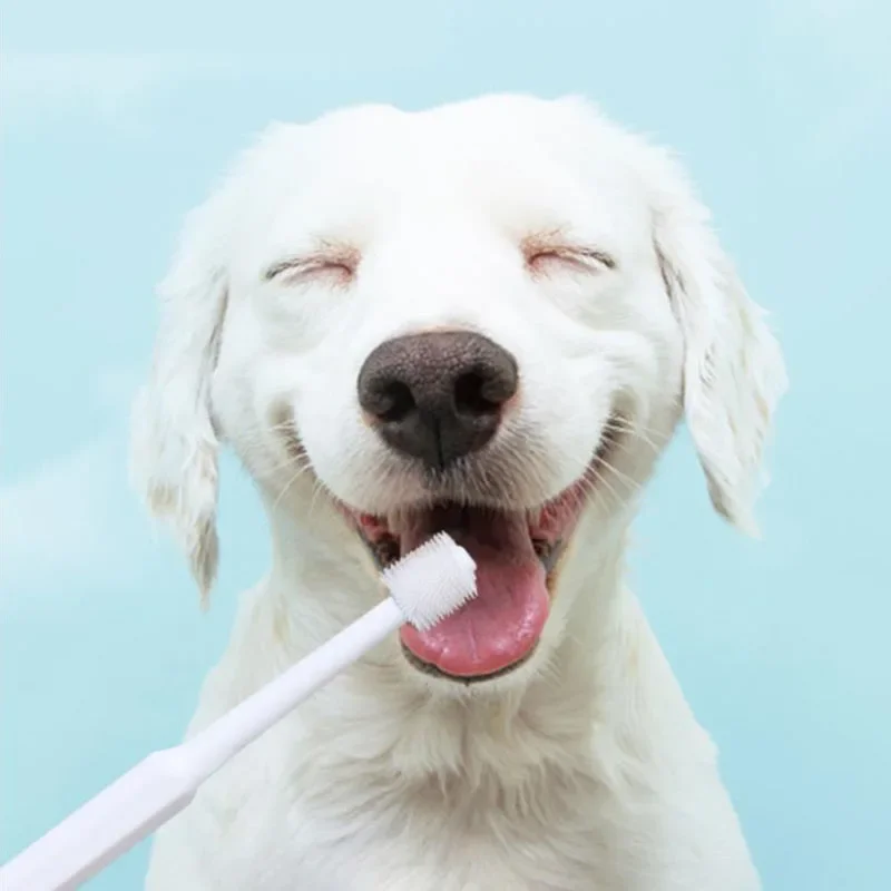 

Silicone 15cm 360 Degree Tooth Brush For Pet Dog Cat Plastic Healthy Toothbrush Mouth Cleaning Pet Cat Dog Finger Brush for Dogs