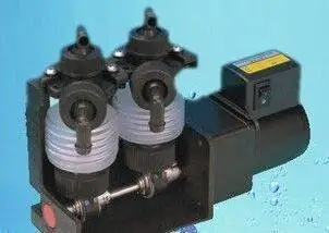 Double-Head 2DS-2P …