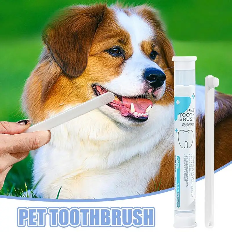 Pulizia dei denti del cane Setole morbide del cane Spazzolino da denti per animali domestici per l'alito cattivo Pulizia dei denti a testa tonda Igiene orale Pulizia non irritante