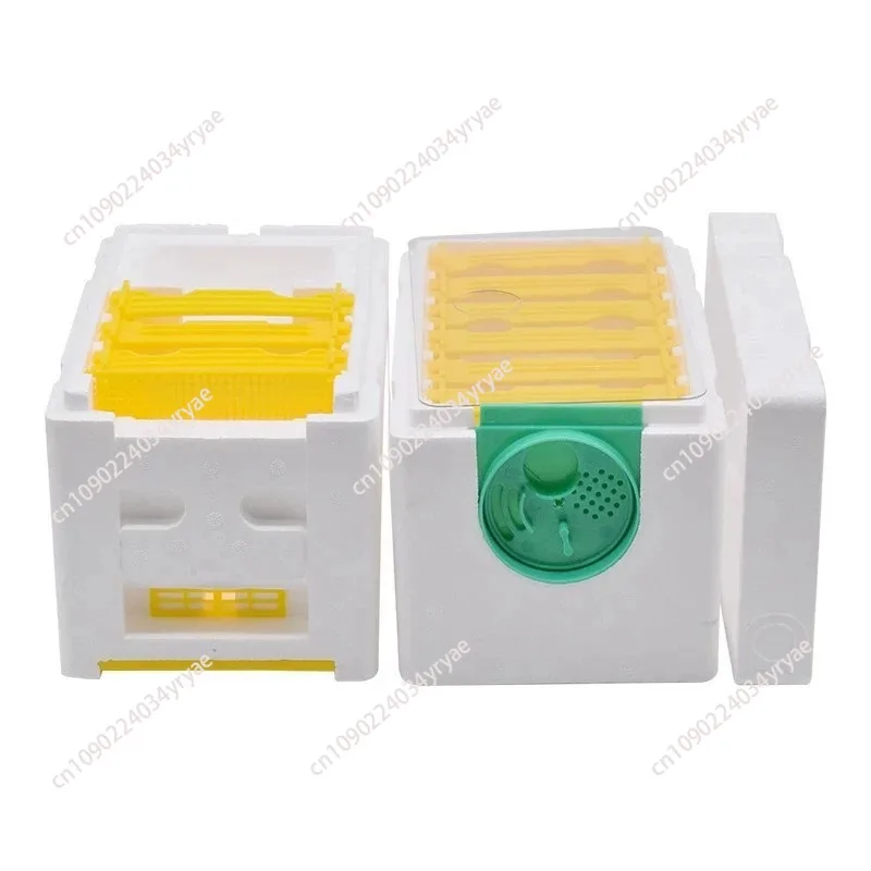CHINABEES Apidea Mating Nuc Queen Box Double  Foam polystyrene Bee Hives Rearing beekeeping starter kit esp mating honey box