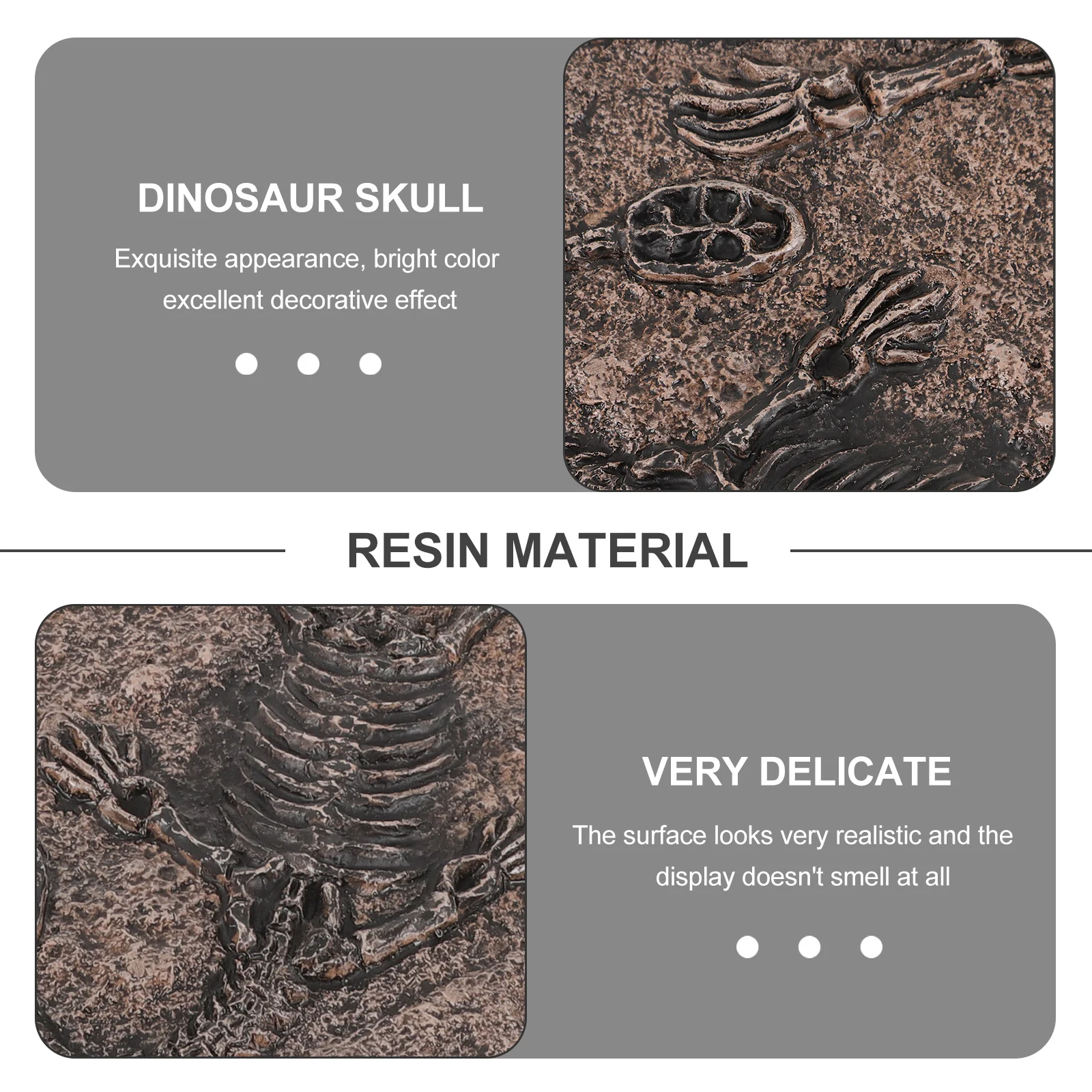 

Dinosaur Skull For Paleontology Kids Adults Collection Collection Rock Collector Gifts Kit Paleontology Specimen Decor