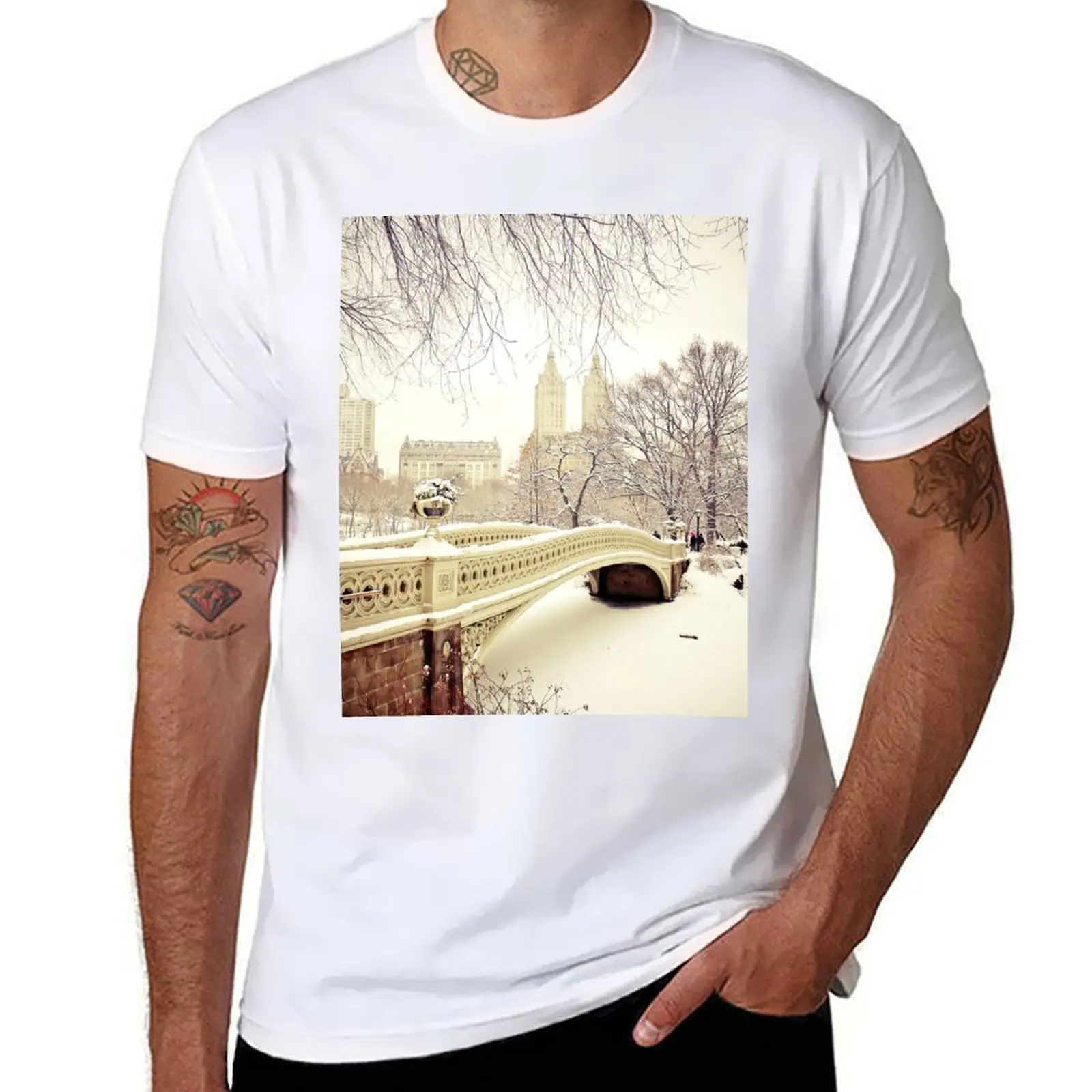 

Winter in Central Park T-Shirt man t shirt heavy cotton man t shirt summer T-Shirt